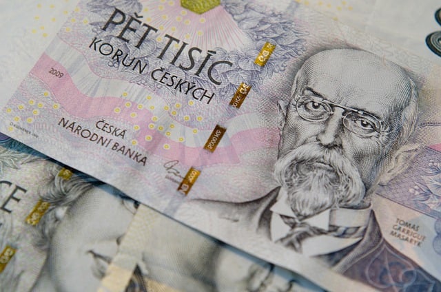 From Novice to Guru: Your Journey in the World of Investing